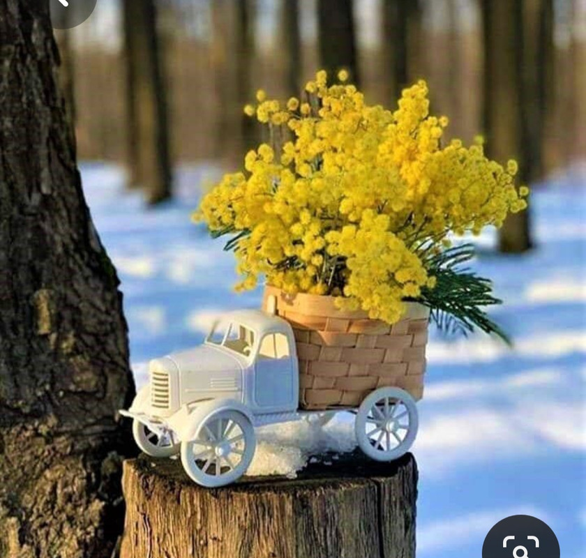 Screenshot_20230616_232133_Pinterest