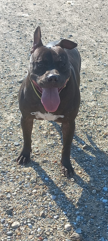 05F89348-1019-40DC-8A26-D5CCF0C574A5