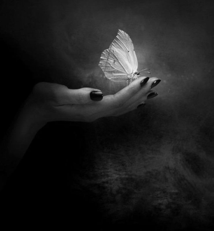 Screenshot_20230125_215126_Chrome