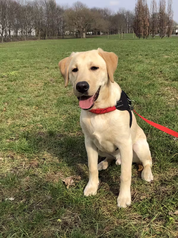 3F2E7623-053F-4D38-81E9-4E814B269679