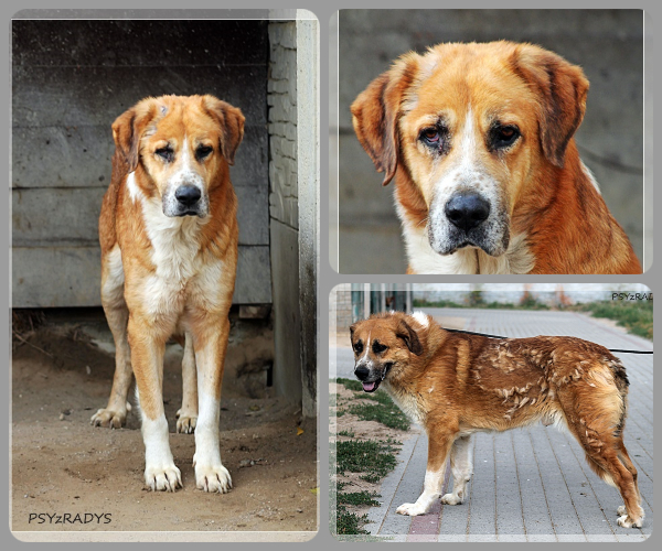 BeFunky-collage (22)