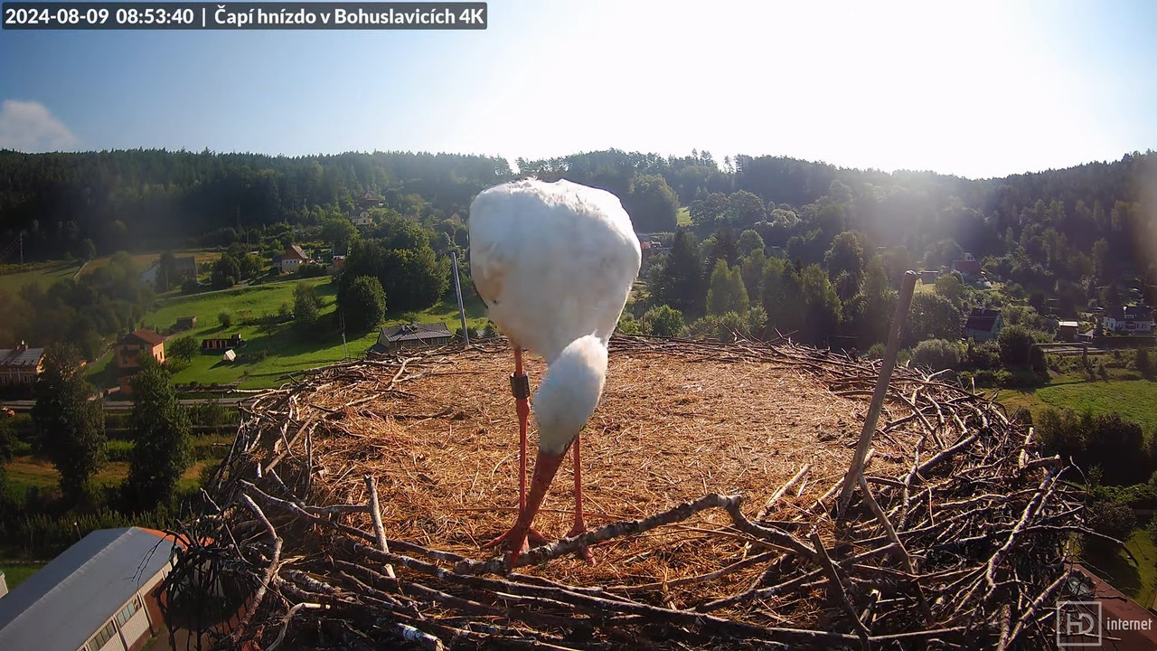 Tiešraidē no uzņēmuma KARA stārķa skursteņa Bohuslavicē pie Trutnovas 13-28-14 screenshot