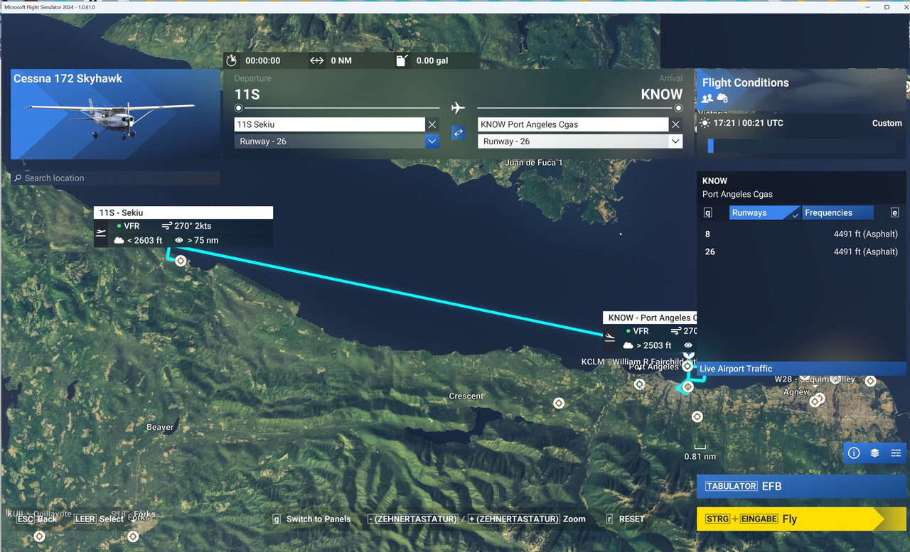 You have been selected to participate in the MSFS 2024 Alpha