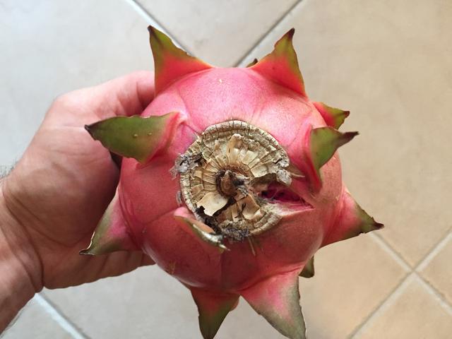 8FD6F631-4ECE-4977-B2BD-EAD62702730A