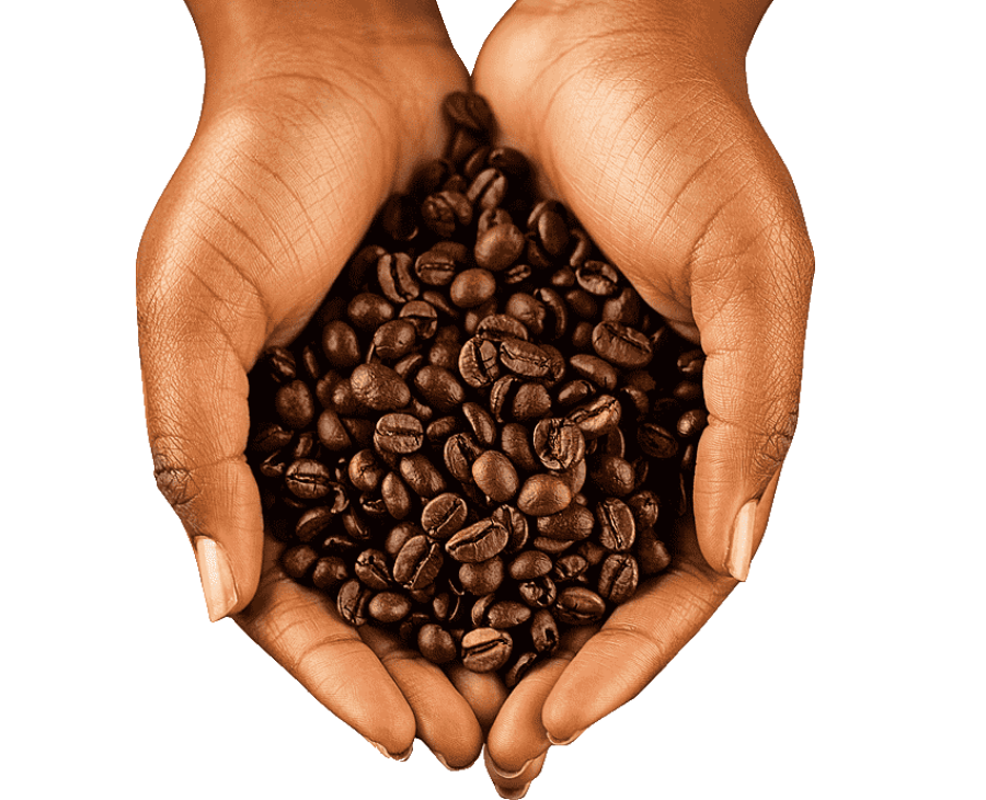 Ethiopian coffee beans illustration