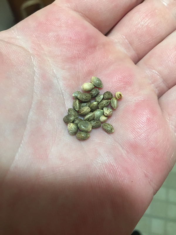 924E9C7D-6C88-4CE4-9634-3F9A6586FC8A