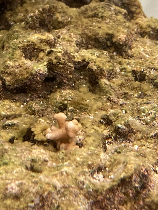 10F988A6-B1AC-42C2-9BDD-1C02DACBADFD