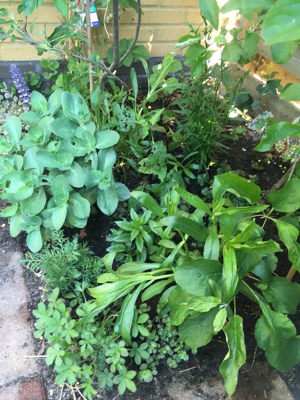 D4AA9D43-29AF-4DBE-8EAB-D25117976079