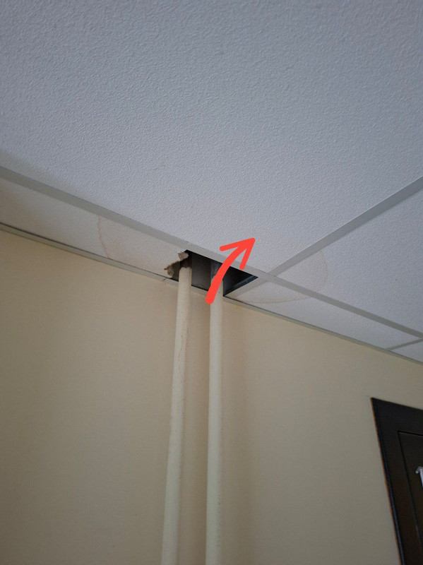 photo_11_2025-10-13_16-32-24