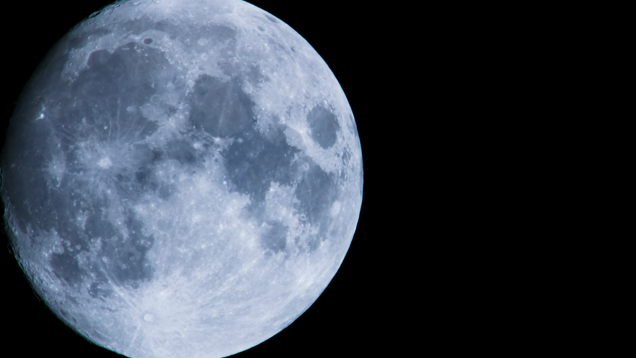 Blue.Planet.II.S01E06.1080p.AMZN.WEB-DL.x265.10bit.EAC3.6.0-Qman