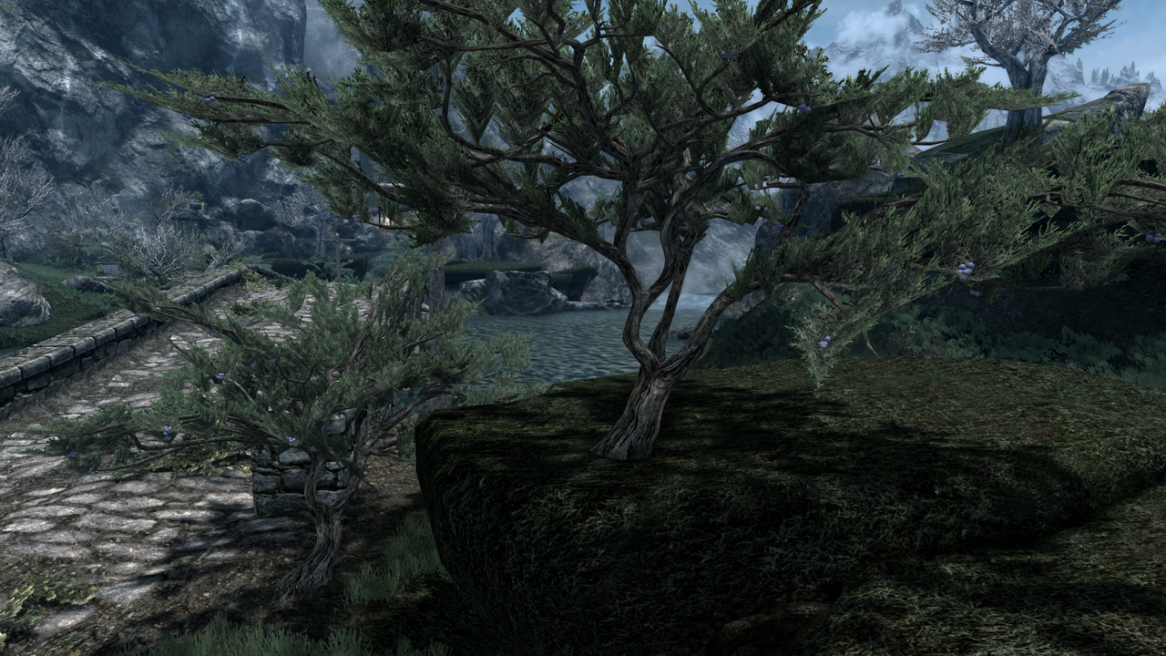 Step-Skyrim-SE10.png