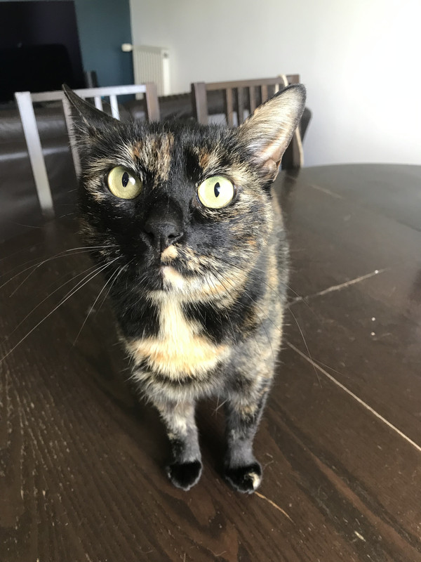 92F95718-1C82-4025-993F-414E23D85166