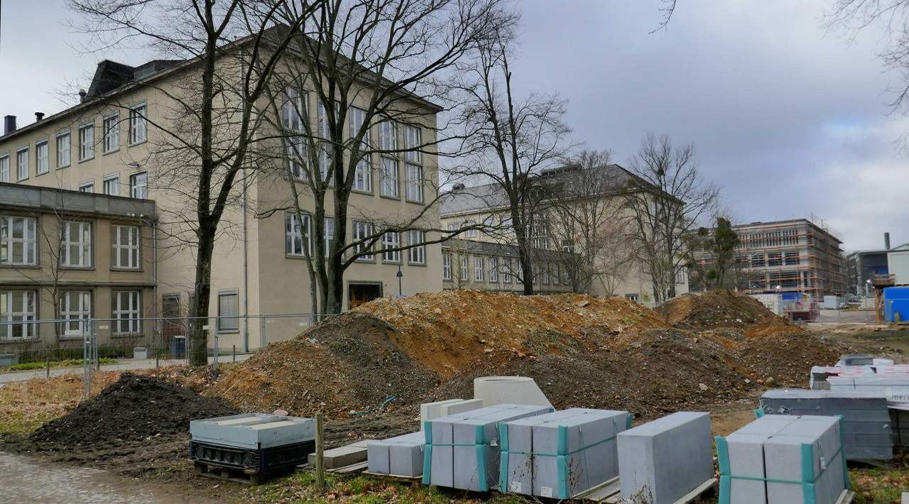 P1260539.jpg