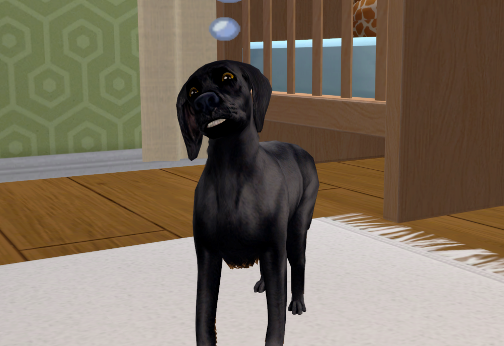 Sims2-EP9-RPC-2021-09-14-17-15-12-91