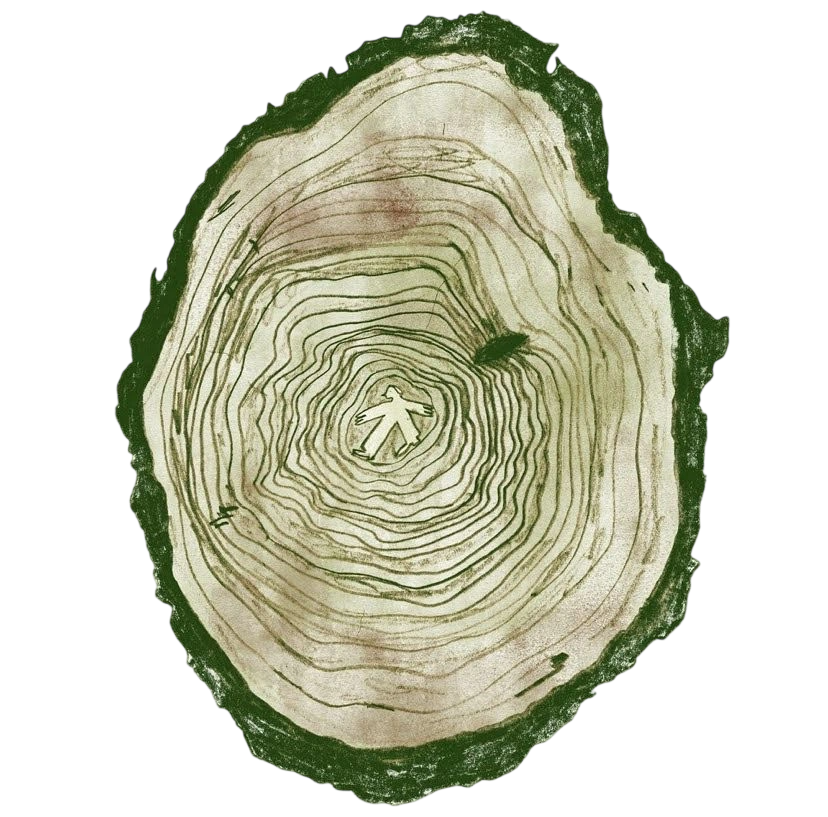Decorative visual
