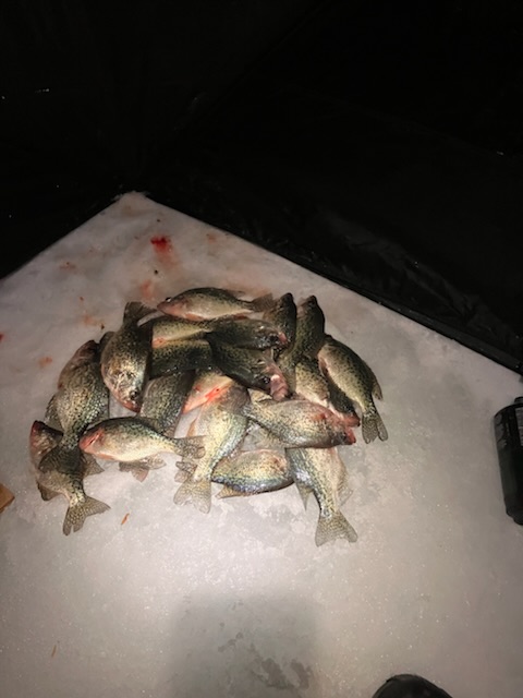 8D96D4D4-02BE-4AAF-9144-1DFBB29863ED