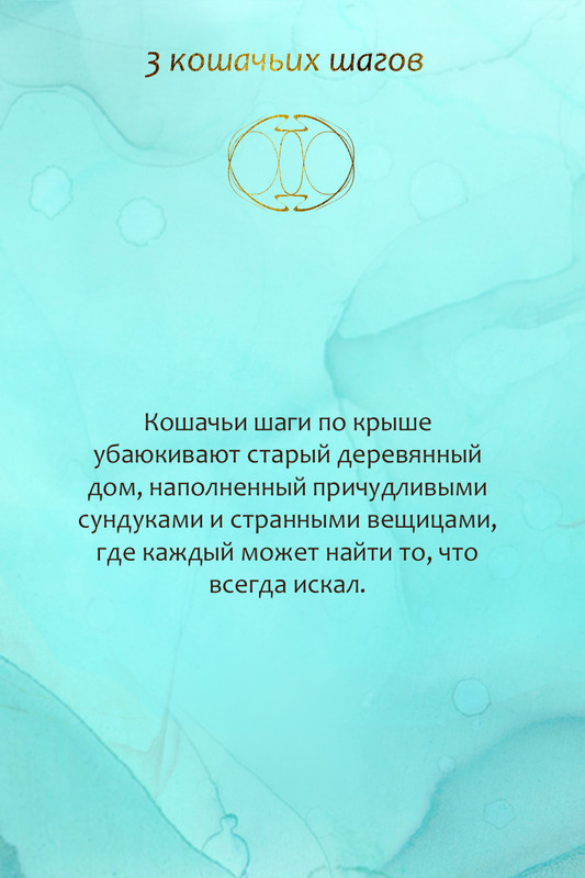 3 кошачьих шагов