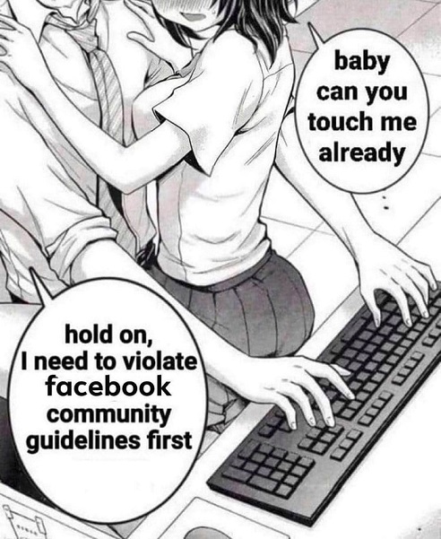 fb6.jpg