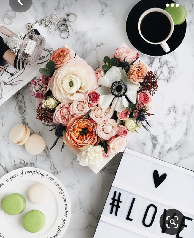 Screenshot_20230930_154240_Pinterest