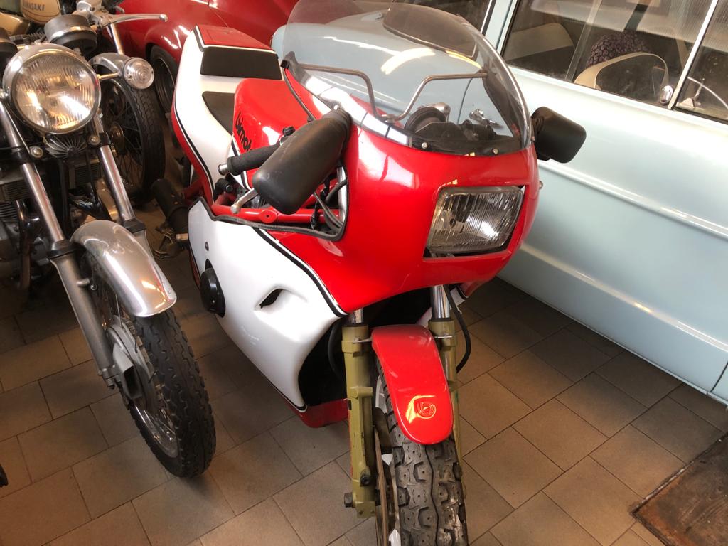 WhatsApp Image 2021-01-09 at 10.00.57 (6)