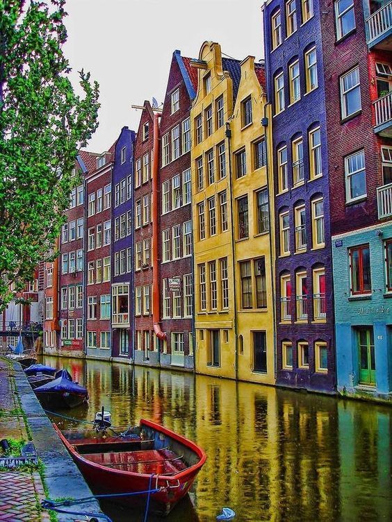 multiamsterdam.jpg