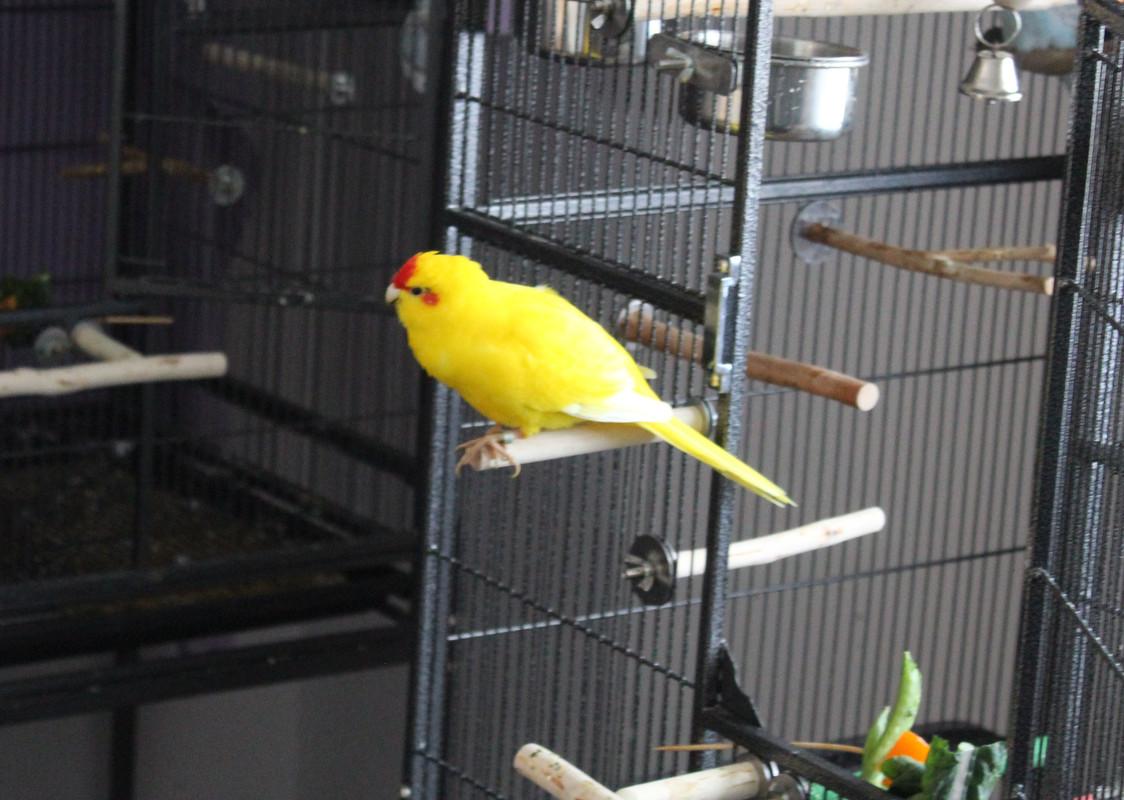 20231014115734 img 1364 — Postimages