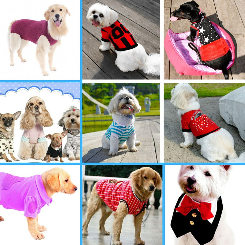 Roupas pet feitas com moldes