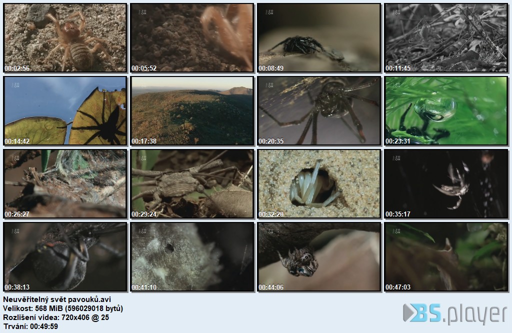 Neuvěřitelný svět pavouků / Incredible Spiders / CZ