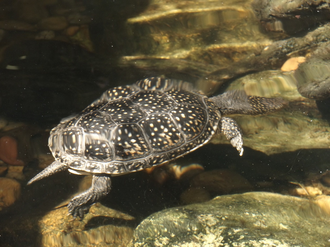 DSCF6540.jpg