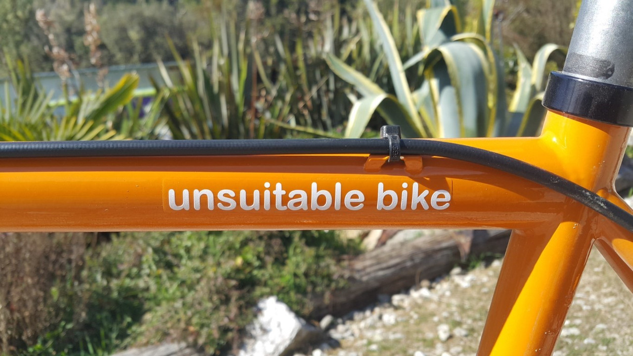 20210905_114926 (Custom) (Medium) (Medium)