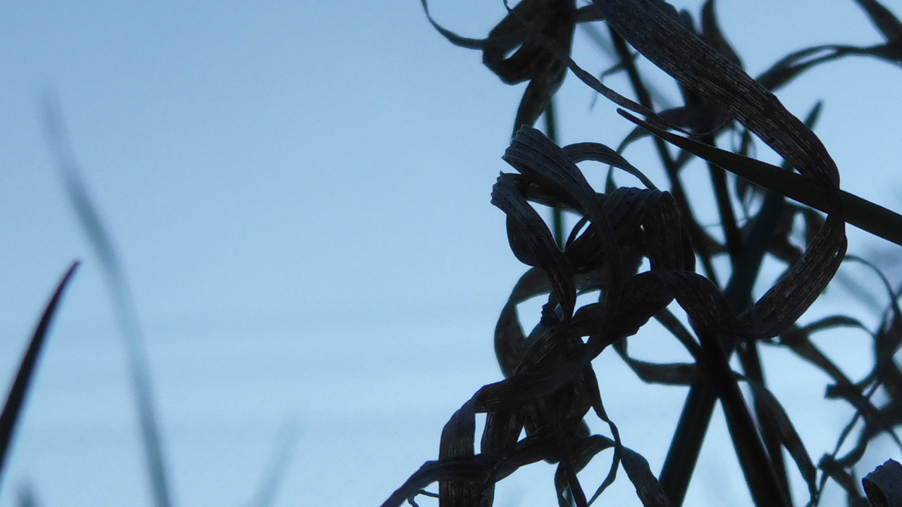 Abstract-A-Shapes-Assembled-Colorful-Art-Publicdomain (28)