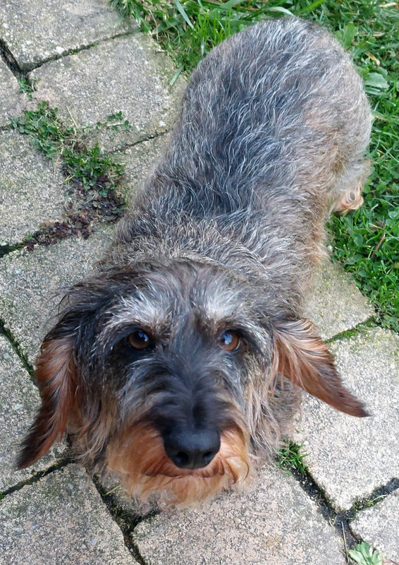 [Image: IMG-20251105-071032.jpg]