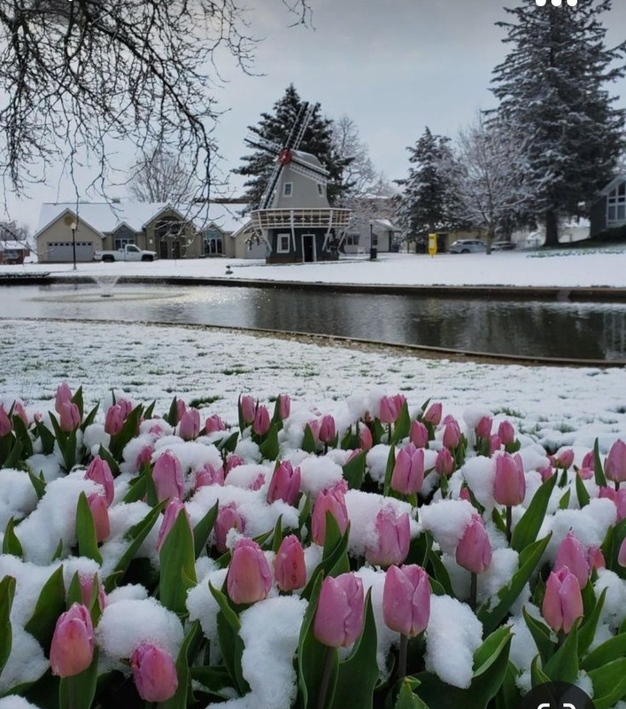 Screenshot_20231017_202825_Pinterest