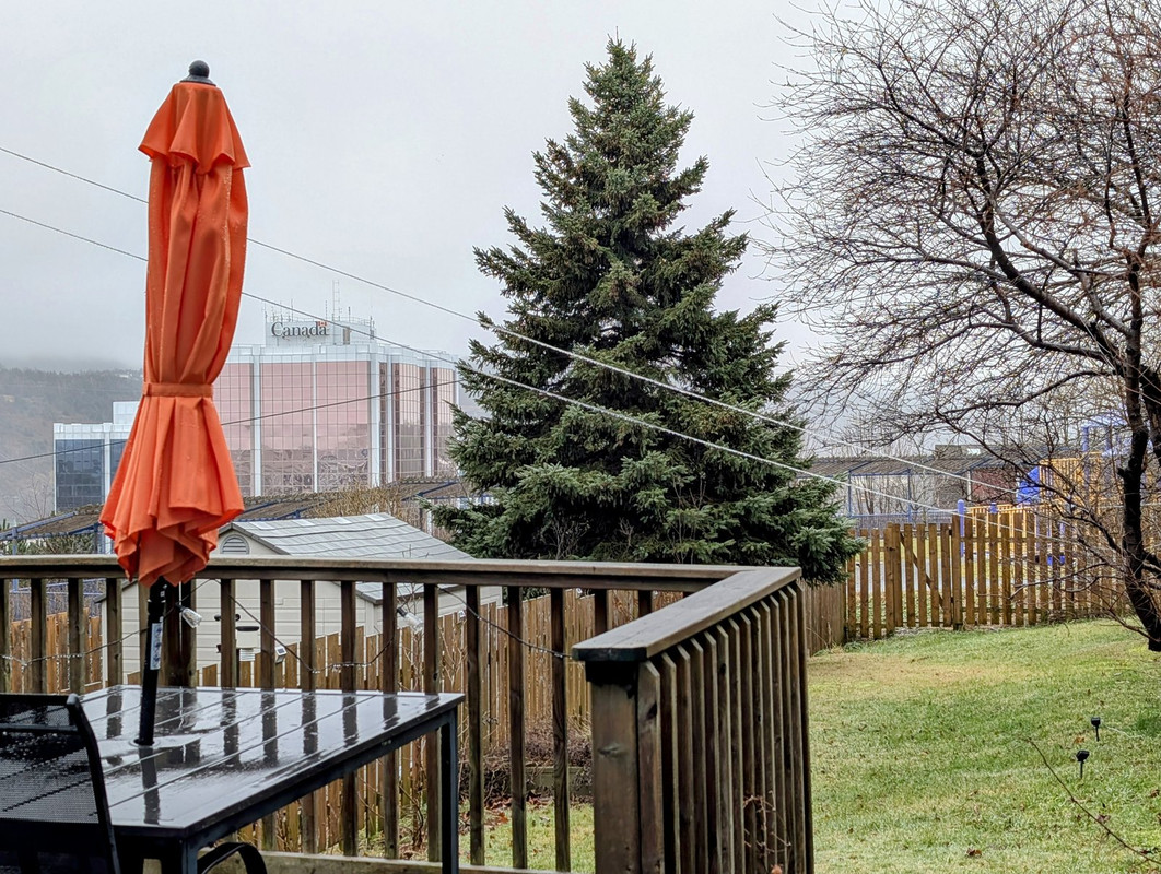 PXL_20241228_131724538.MP~2