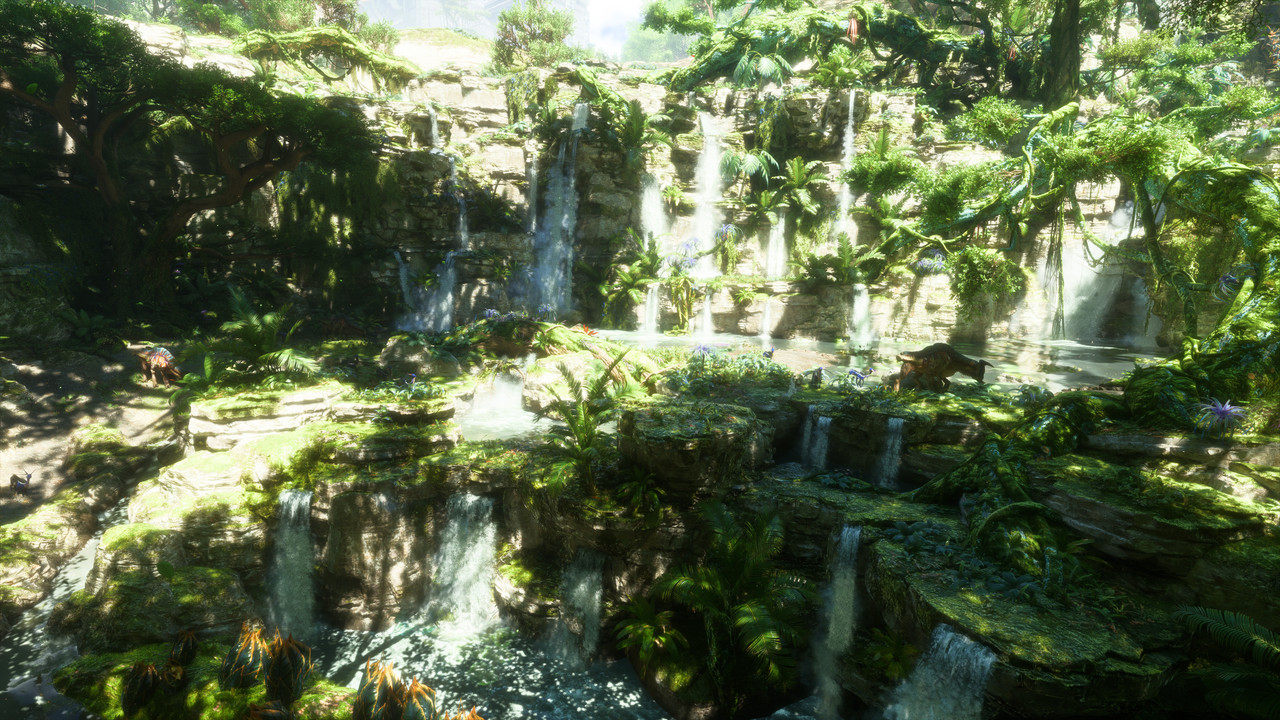 afop 2026 01 09 03 56 24 244