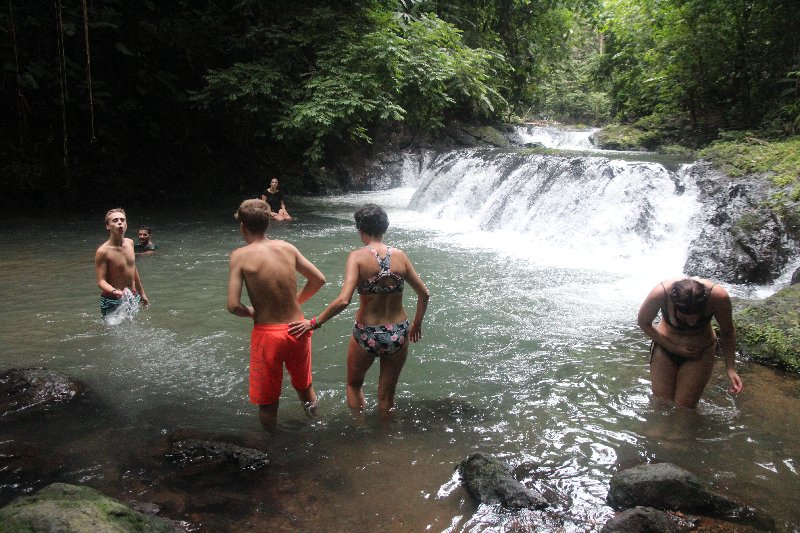 DIA 13: EXCURSIÓN DE UN DÍA A CORCOVADO - DE TORTUGAS Y PEREZOSOS. COSTA RICA 2019 (64)