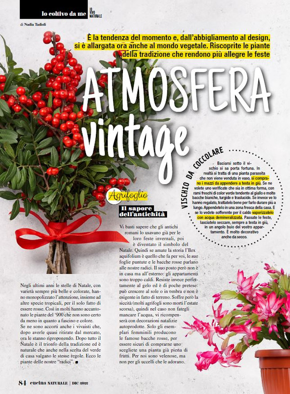 Cucina Nat Dic 2022 (11)