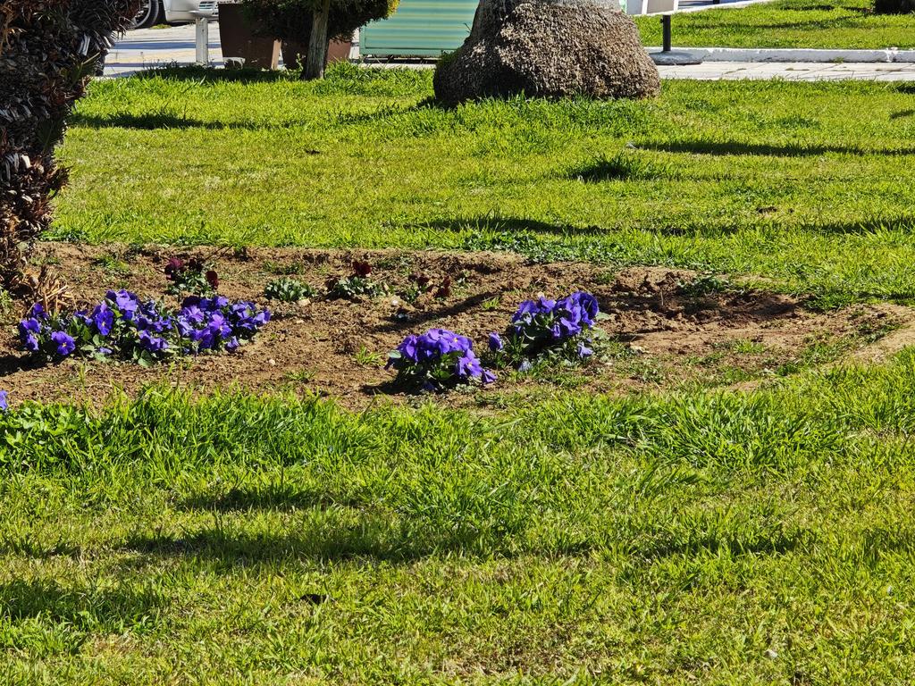 IMG 20260315 120248