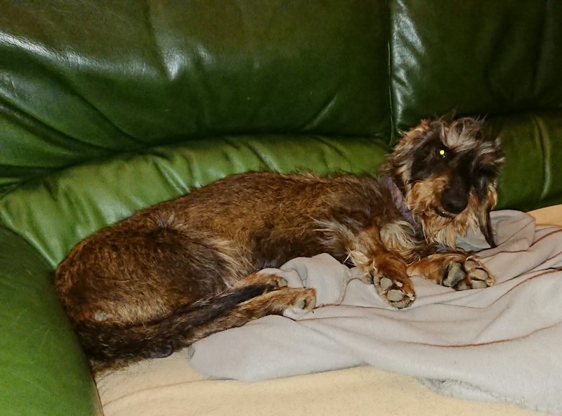 [Image: 20240209-214547.jpg]