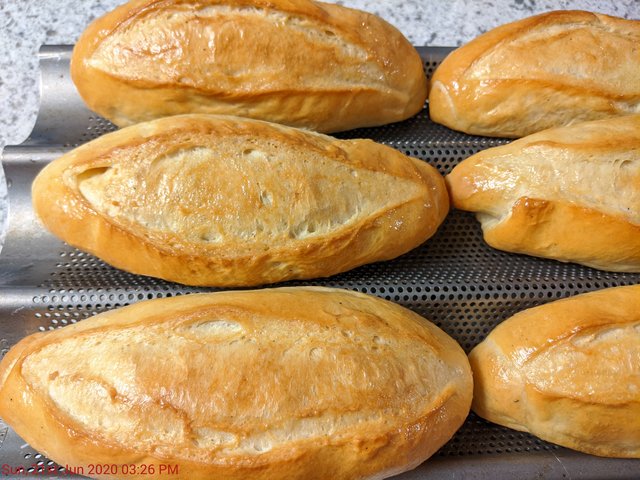 [Image: IMG-20200621-152651.jpg]