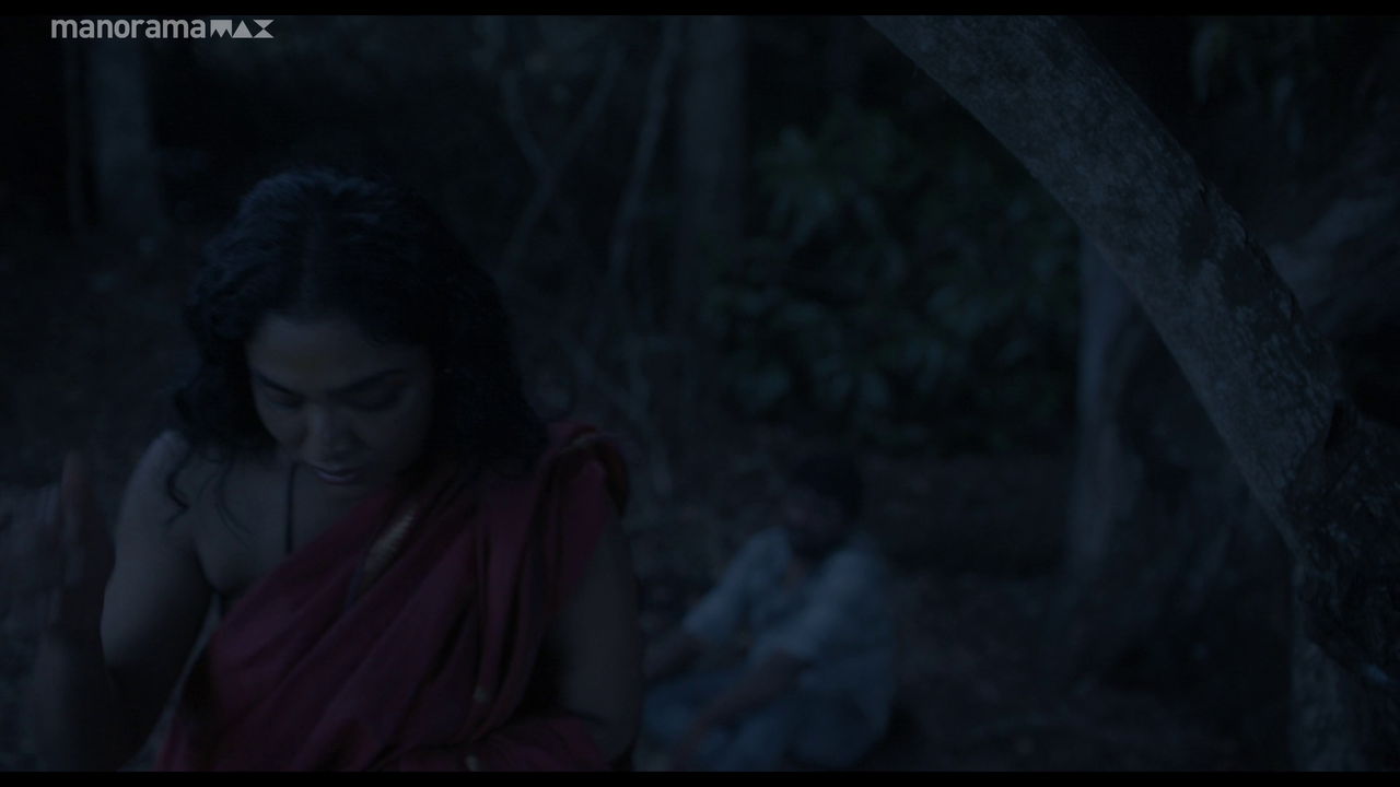 vlcsnap 2026 02 25 12h54m33s345