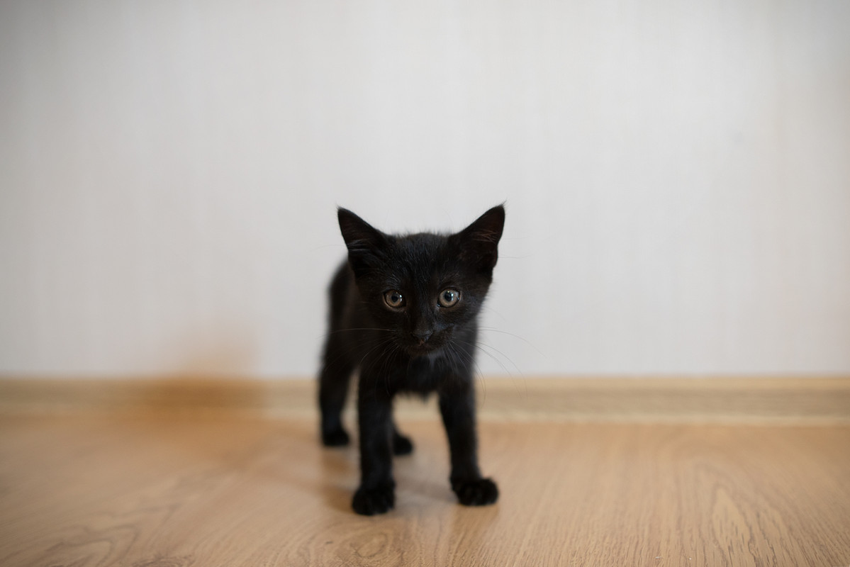 D3C87F46-F03B-4AB6-B6F2-CE40B41CDDB9