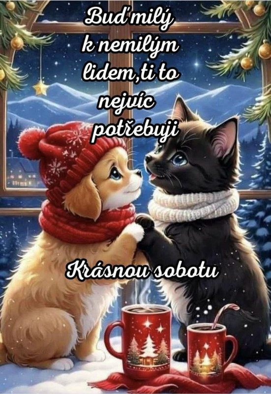 586798225 25360808610202854 3193078869126773015 n