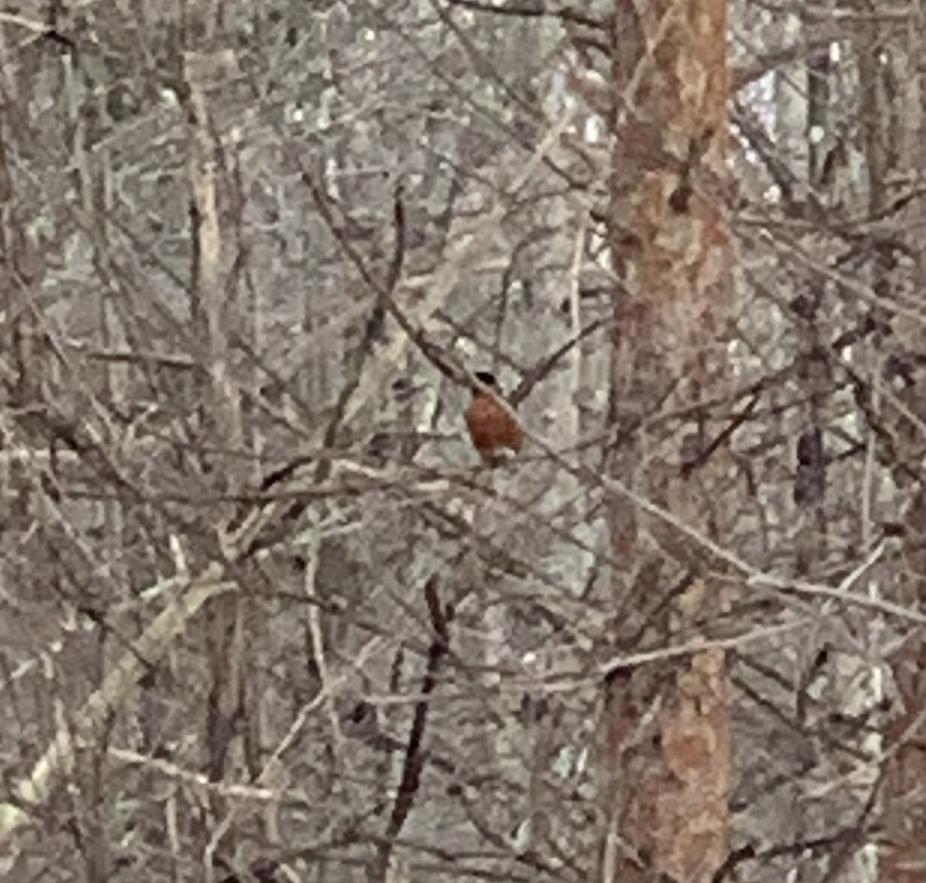 68F2E56D-3B20-444D-A36E-2ACBB01DF5EB