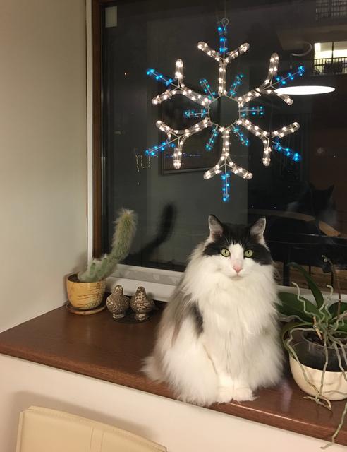 8211343-A-E5-B2-4037-831-A-9427-E14757-F