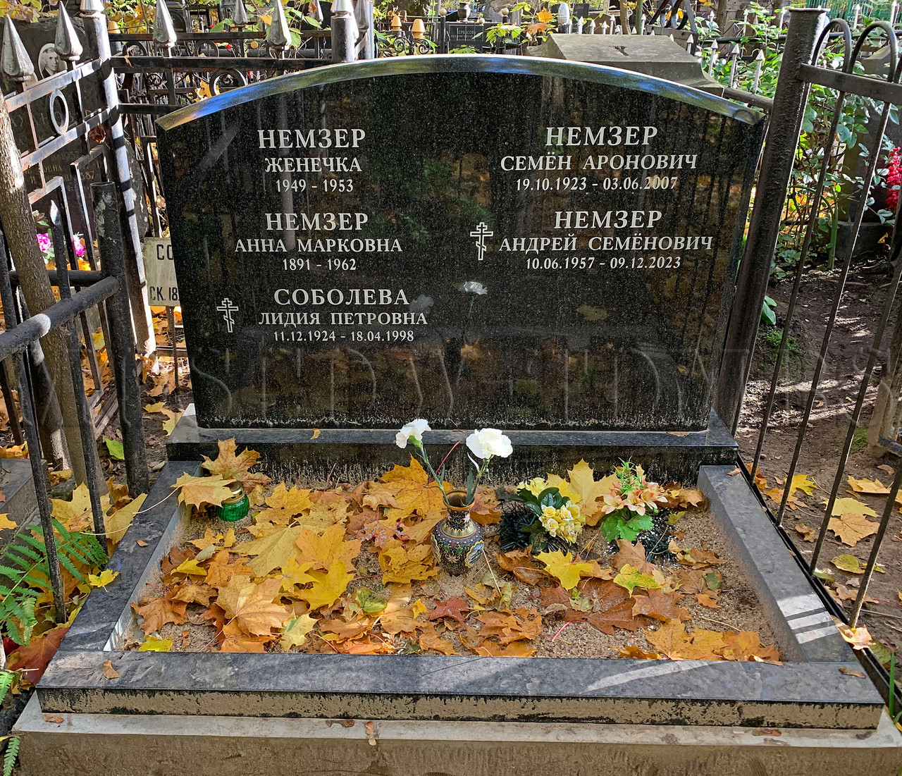 nemzer-as-new