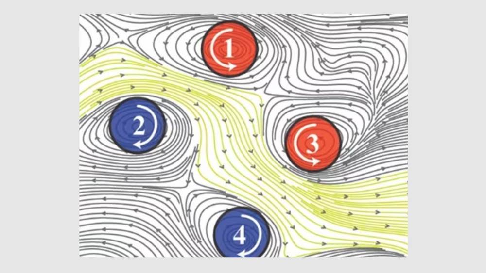 Illustrazione di pi spirali interagenti che organizzano il flusso dell attivit cerebrale Credito G
