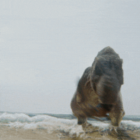 i-seen-it-av4.gif