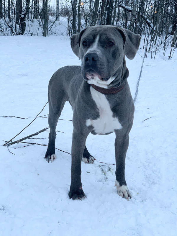 B5CDC5A1-47A3-4476-A37B-97574153A323