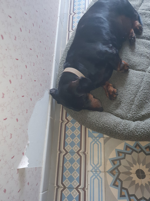 [Image: 20220128-123924.jpg]